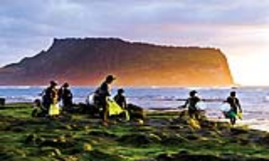 Những nàng tiên cá tại đảo Jeju...