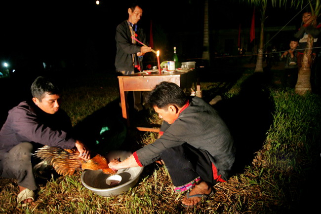 Nhay Lua Ha Giang
