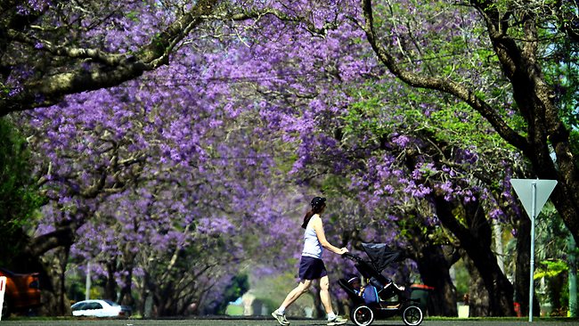 Du lịch Australia - HanoiRedtours 3