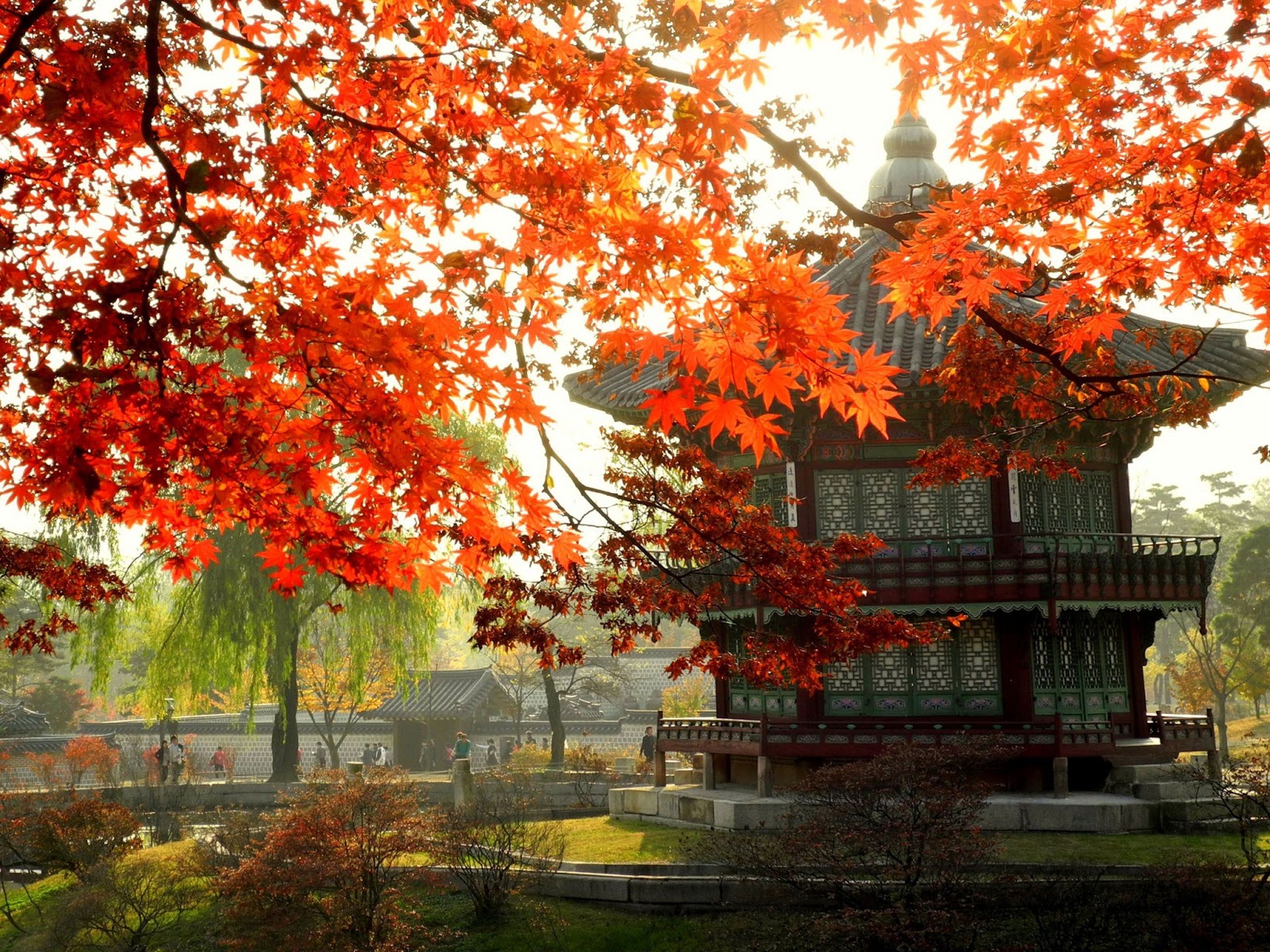 du lịch Hàn Quốc - HanoiRedtours