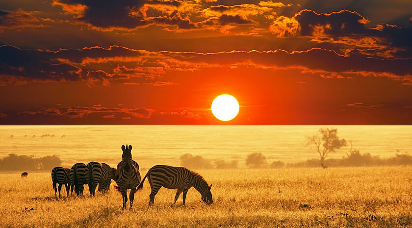 hoàng hôn ở Kenya - hanoiredtours