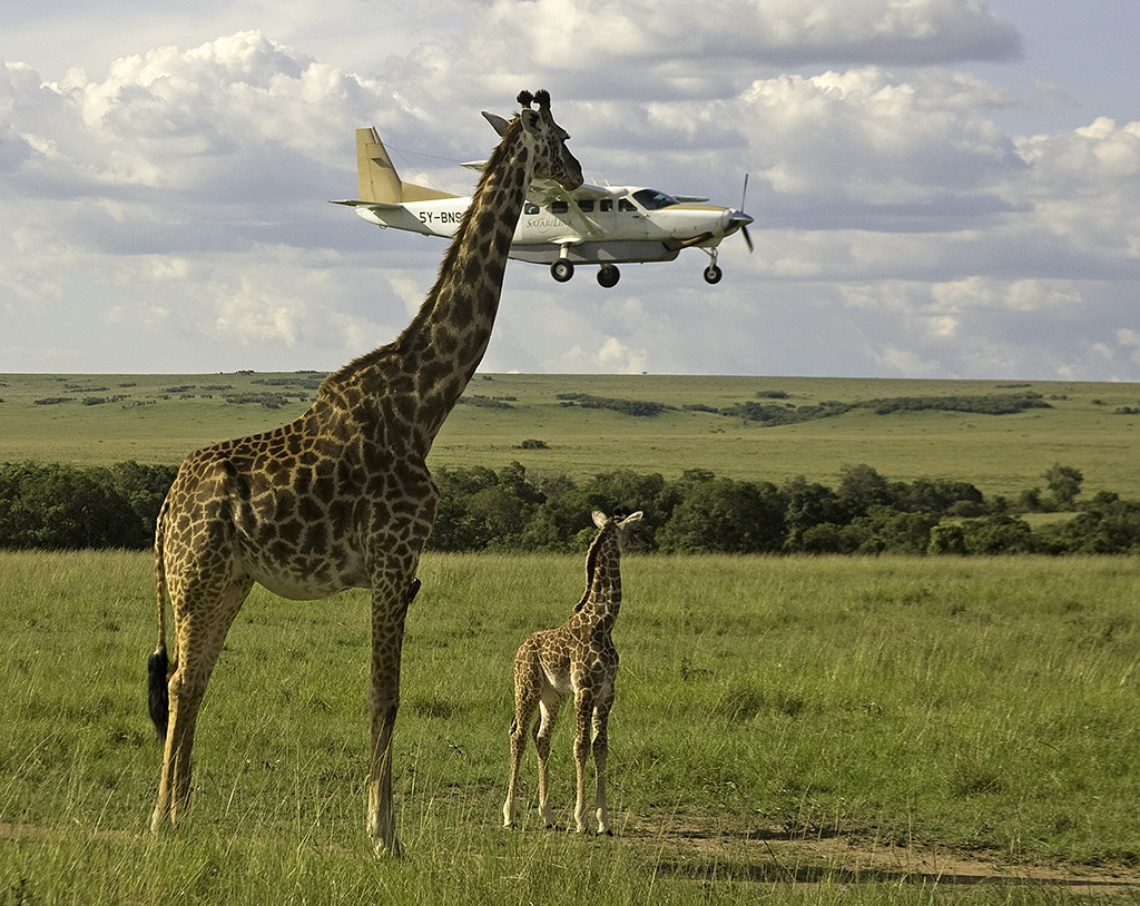 thiên nhiên kỳ thú tại Kenya - HanoiRedtours