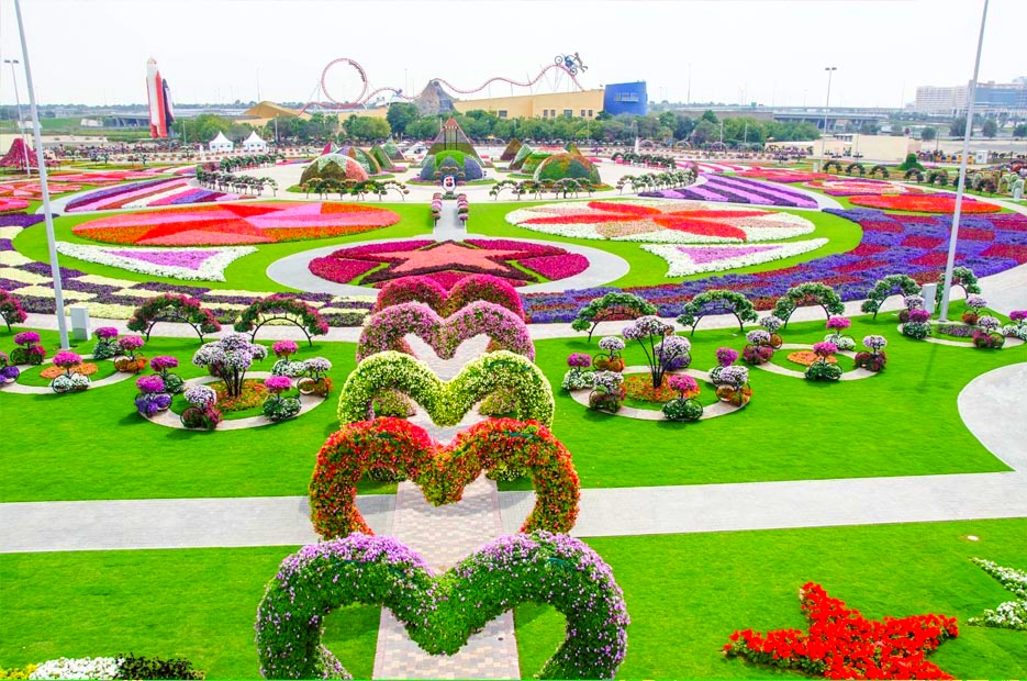 hoa rực rỡ khoe sắc tại dubai