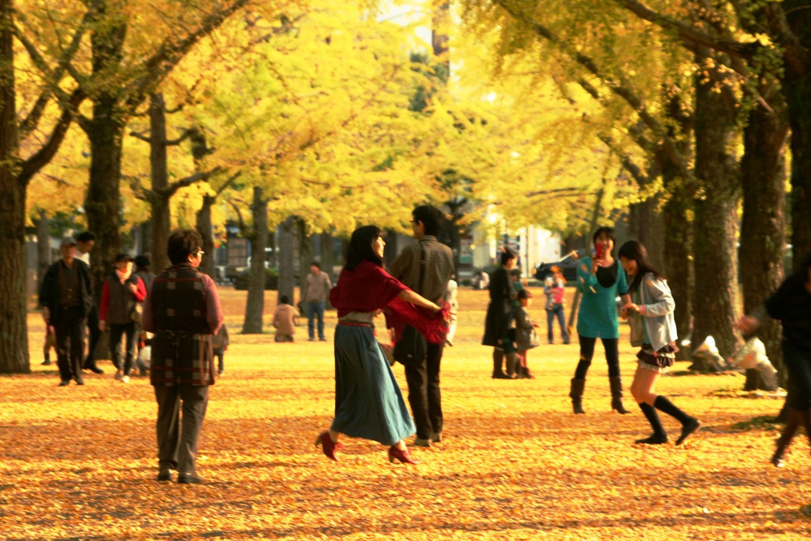 Nhật Bản giá siêu khuyến mại - HanoiRedtours