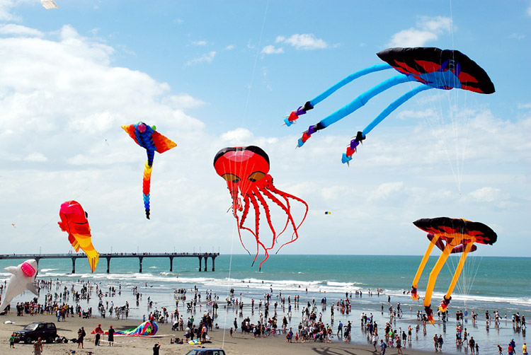 Festival biển Nha Trang - lễ hội thả diều