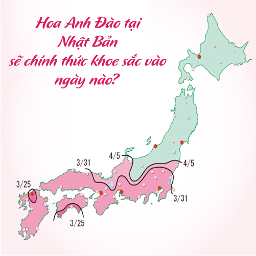 lịch nở hoa anh đào Nhật Bản 2017
