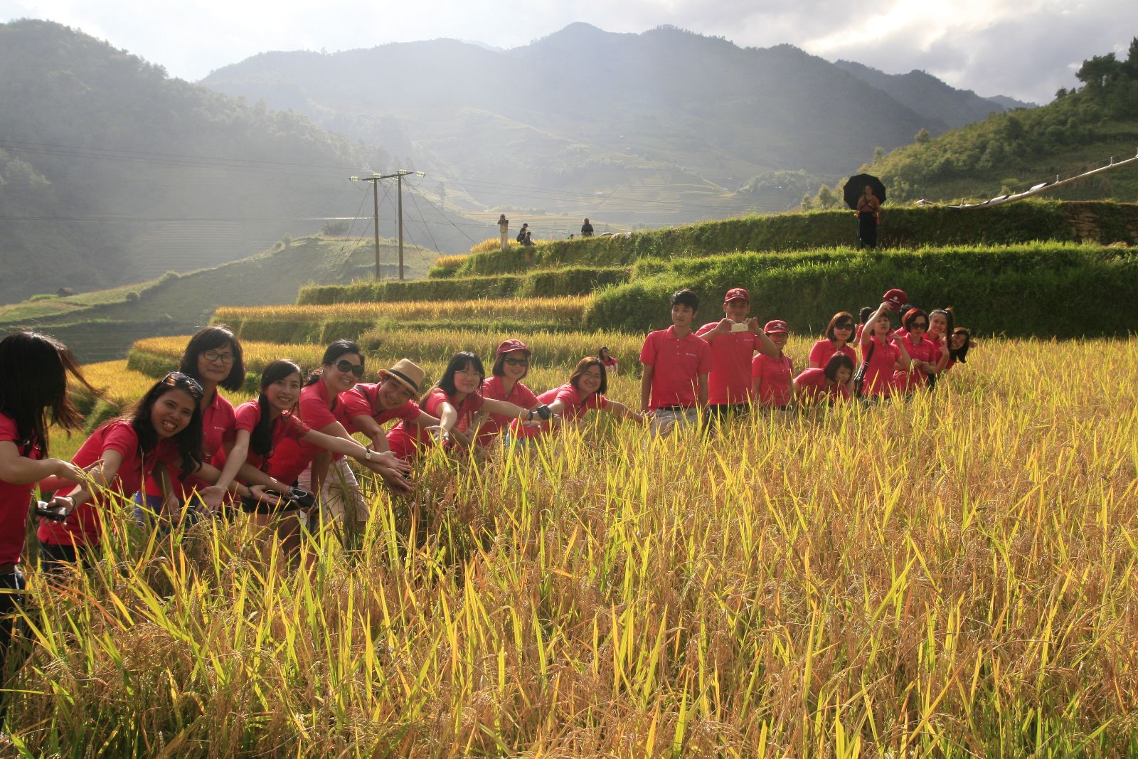 Tây Bắc mùa lúa chín 
