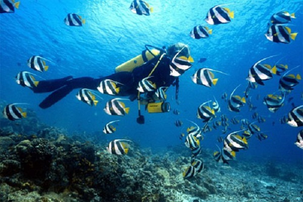 Luxury Priavet Tour du lịch đến Phú Quốc