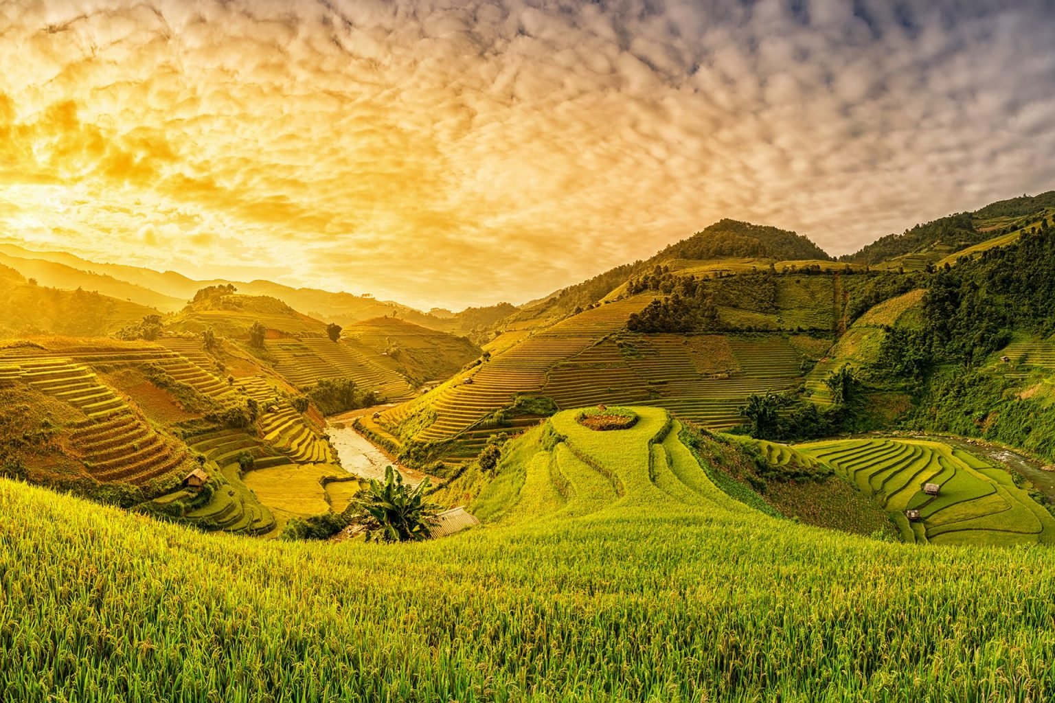 TOUR ĐẶC BIỆT 2.9: SĂN MÂY, NGẮM LÚA Y TÝ