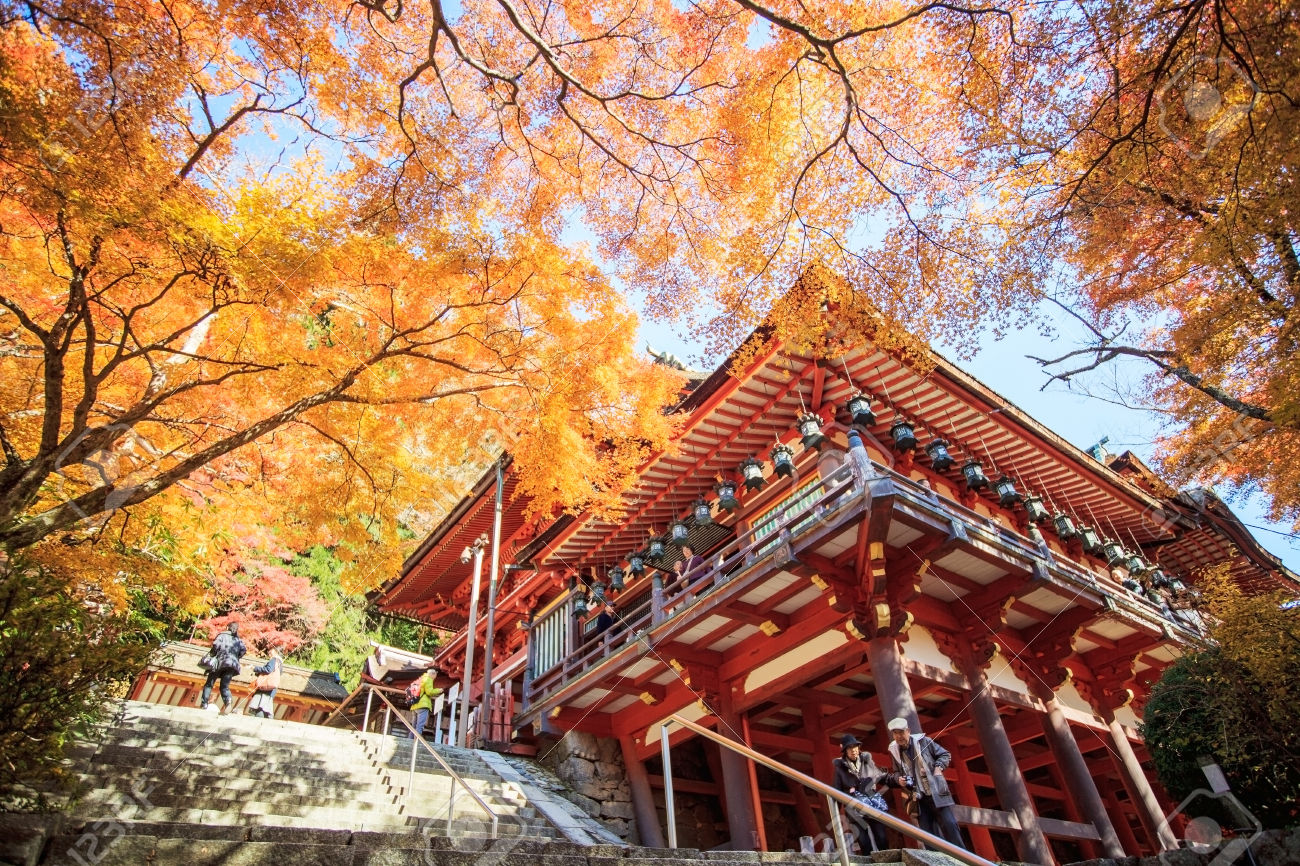 Khuyến mại khai trương đường bay Hà Nội – Osaka 