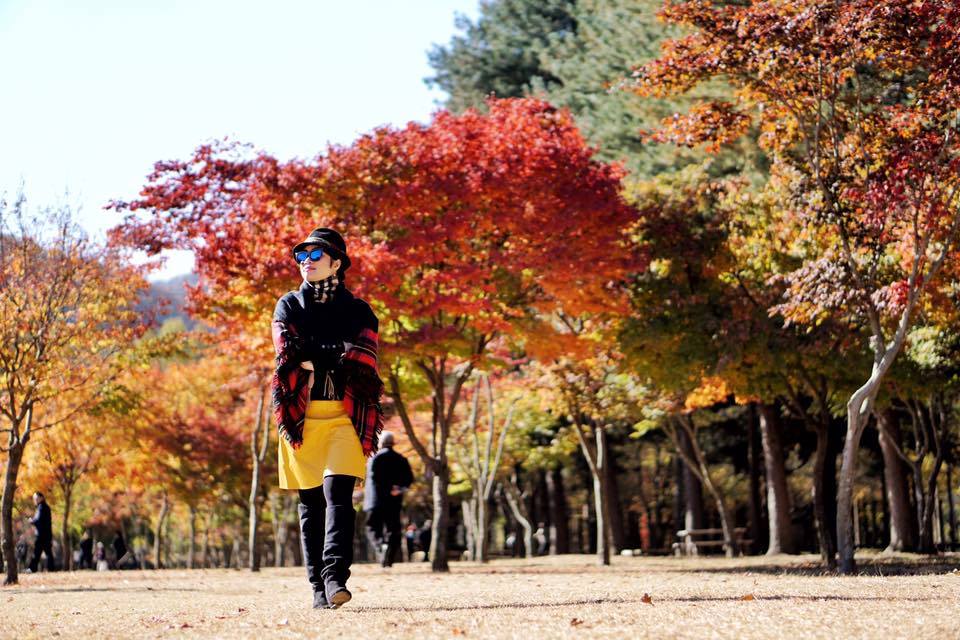 Điểm ngắm lá đỏ đầu tiên tại Hàn Quốc, Nhật Bản 