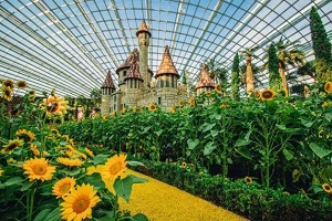 Sức hấp dẫn của khu nhà hoa tại Gardens By the Bay