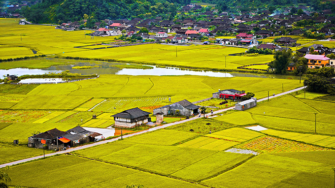 Ngày 1: 	HÀ NỘI – THUNG LŨNG BẮC SƠN – CAO BẰNG ( Ăn: Trưa, Tối)