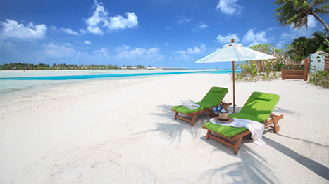 NGÀY 3:  MALDIVES						(ĂN: Sáng, Trưa, Chiều) 