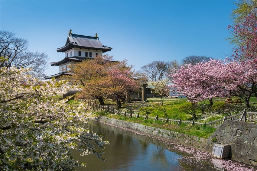 CHƯƠNG TRÌNH MÙA HOA ANH ĐÀO TOKYO - HOKKAIDO