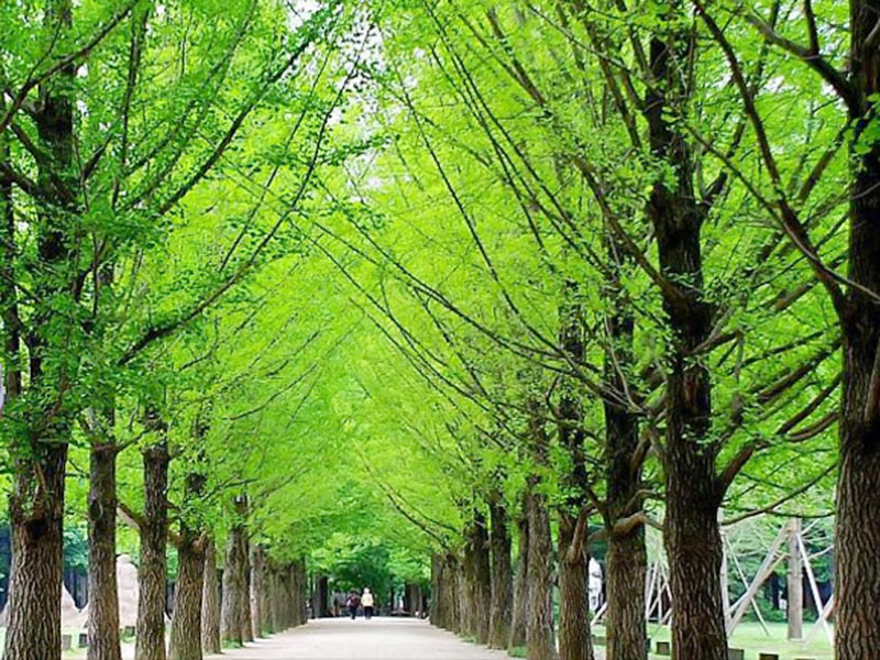 Seoul Dịp lễ 30/4