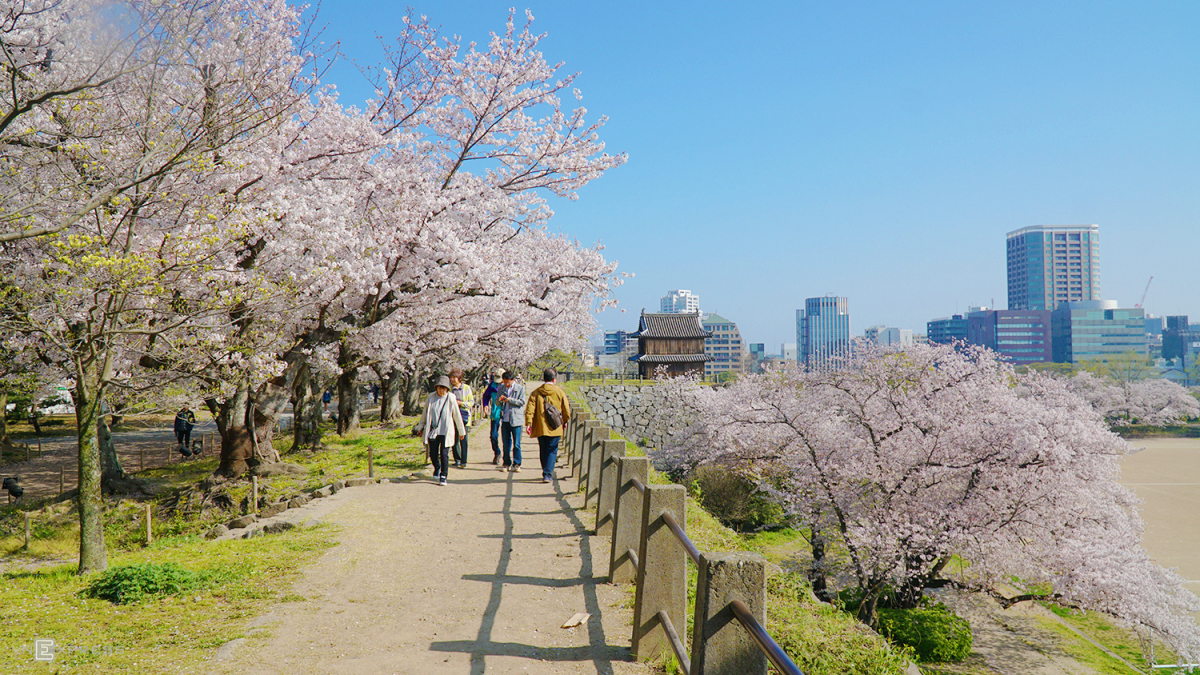 FUKUOKA – BEPPU – KUMAMOTO - FUKUOKA