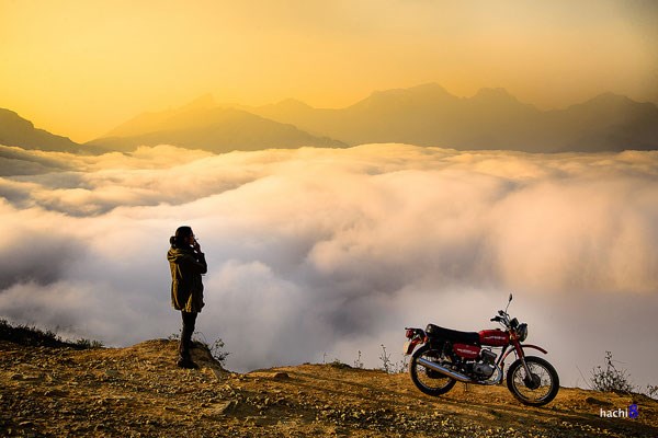 SĂN MÂY Y TÝ MÙA VÀNG TÂY BẮC 2023