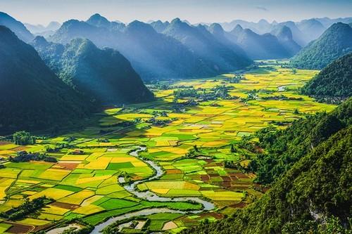  BẮC SƠN MÙA LÚA CHÍN - CAO BẰNG -THÁC BẢN GIỐC- PẮC PÓ 