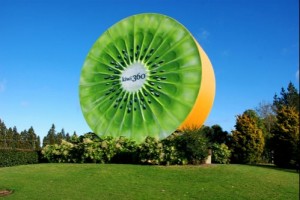 Một hành trình 2 quốc gia Úc và New Zealand