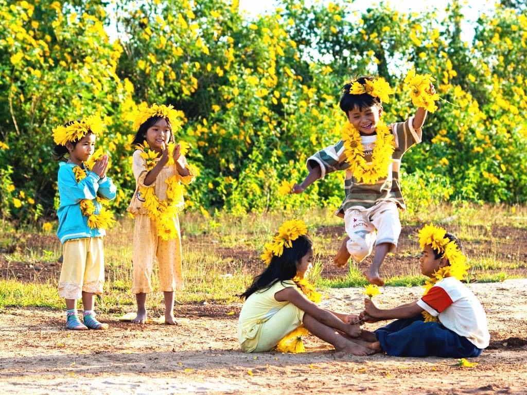 Khám phá Tây Nguyên huyền thoại mùa hoa Dã Quỳ