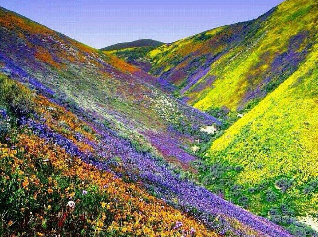 KHÁM PHÁ THUNG LŨNG KASHMIR ẤN ĐỘ 
