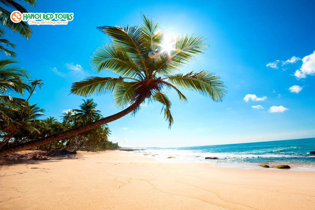 Kích cầu seri  Nha Trang -  Đà Lạt 2020