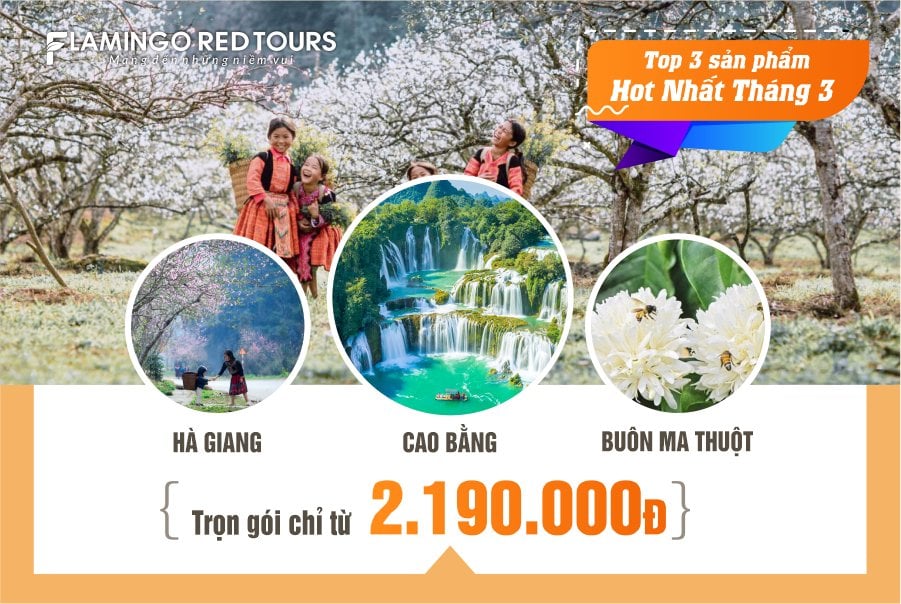 CHÙM TOUR ĐẶC BIỆT CHÀO ĐÓN THÁNG 3