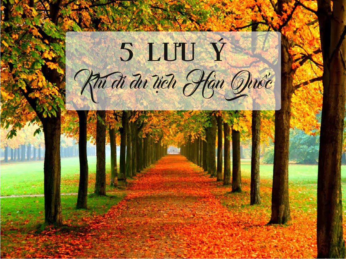5 lưu ý dành cho du khách khi đi du lịch Hàn Quốc