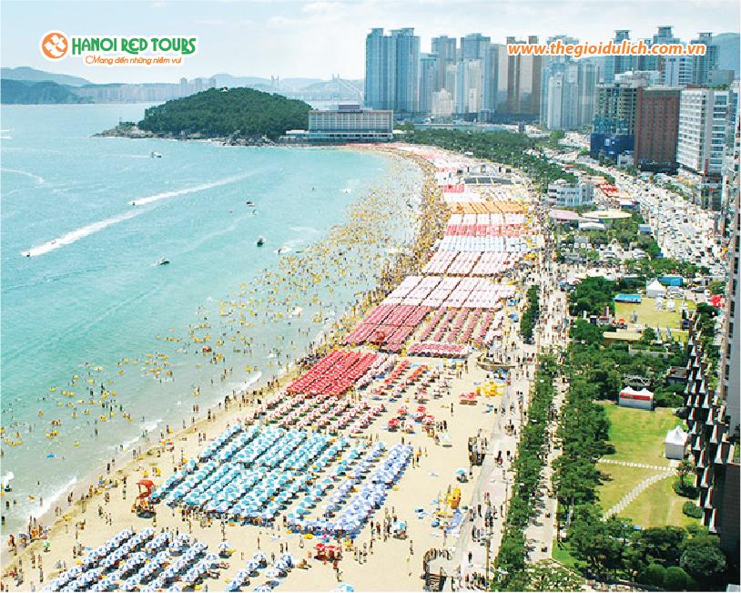 Busan điểm đến mới được du khách yêu thích