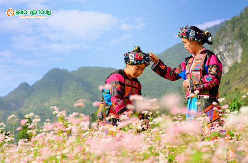  3 Điểm đến hấp dẫn nhất mùa thu mà không phải ai cũng biết