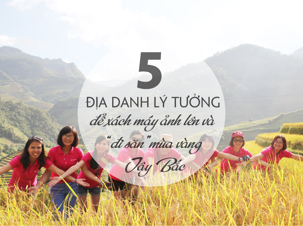 5 địa danh lý tưởng để xách máy ảnh lên và "đi săn" mùa Vàng Tây Bắc