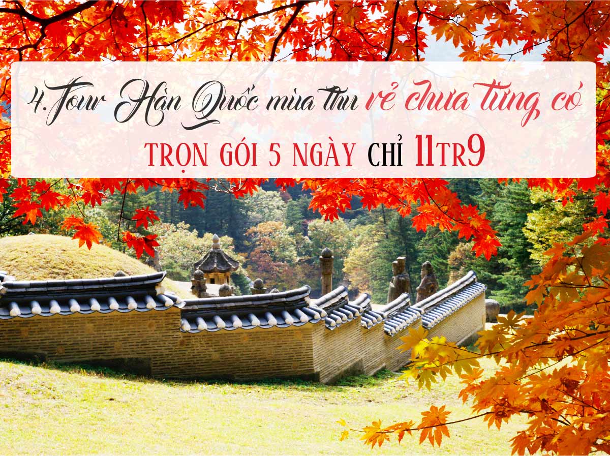4 lý do để không thể không đến Hàn Quốc mùa thu này
