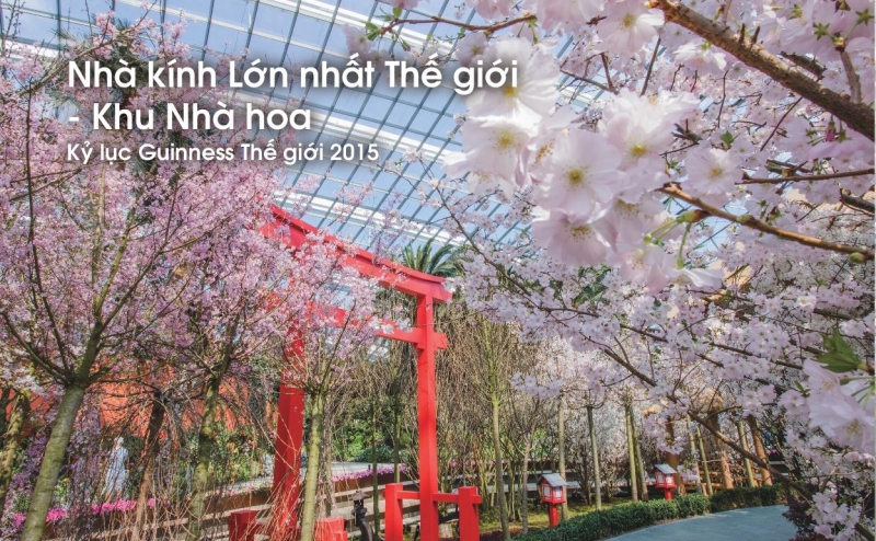 Cùng khám phá vẻ đẹp của Gardens by the Bay tại Singapore