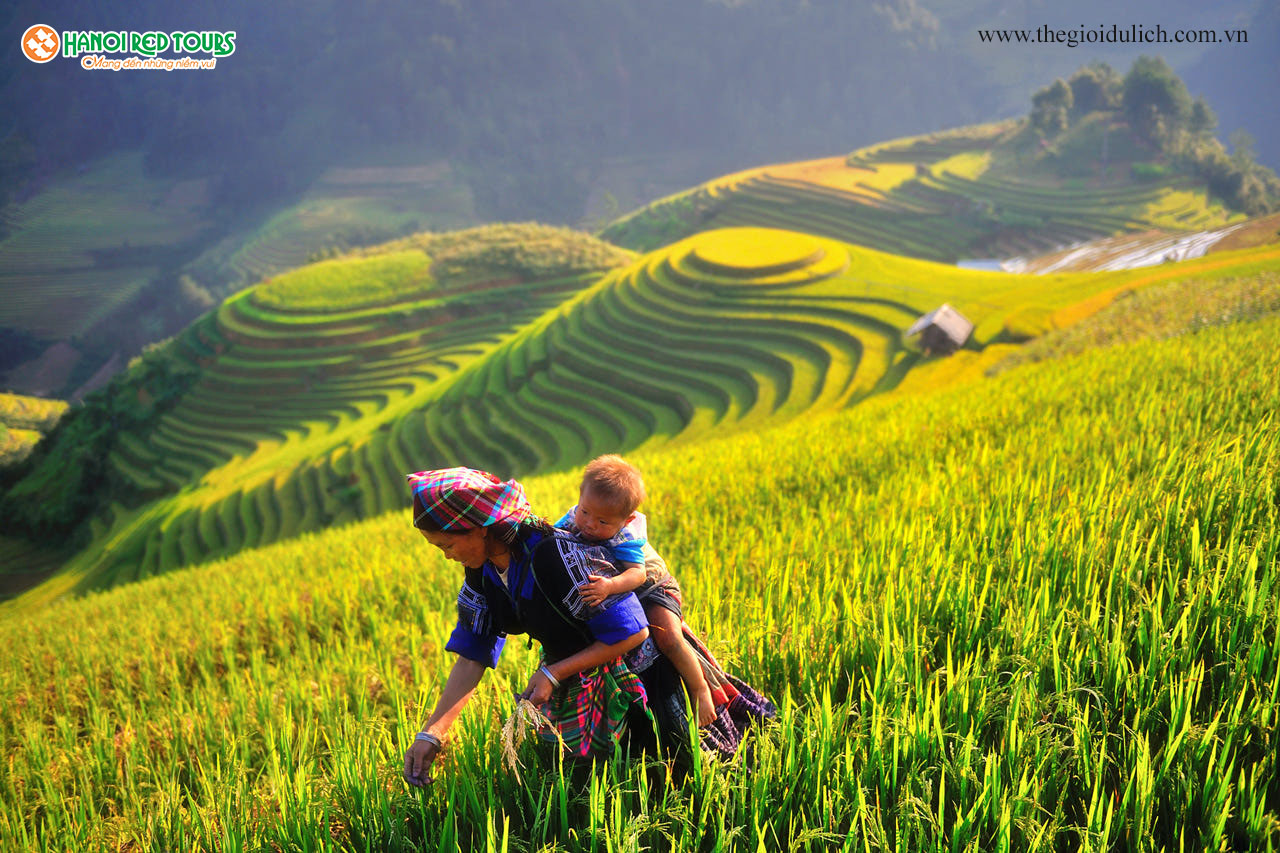 Yên Bái - Tổ chức tuần văn hóa du lịch Mường Lò 2017 