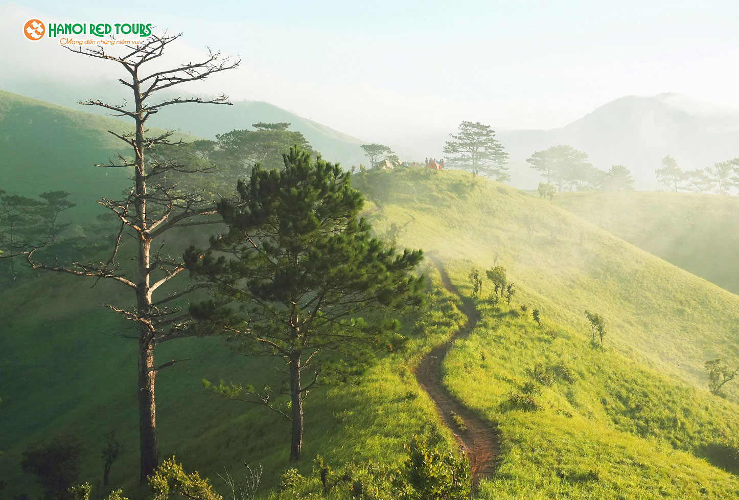 Tà Năng – Phan Dũng  - Cung đường Trek đẹp như mơ