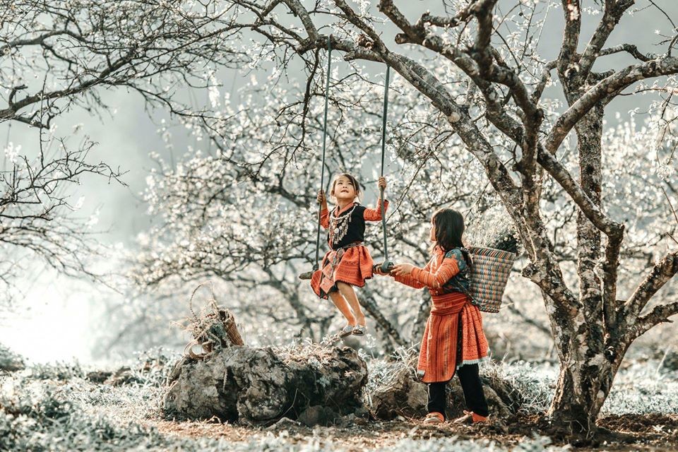 Xuân về trên rẻo cao Tây Bắc